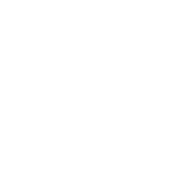 PolyFish Logo